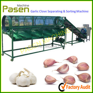 Máquina Industrial para procesar ajos, máquina para cortar ajos - Product Image 6
