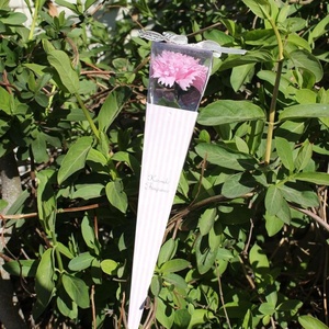 Savon en forme de rose artificielle, cadeau de <span class=keywords><strong>la</strong></span> Saint-Valentin <span class=keywords><strong>et</strong></span> de <span class=keywords><strong>la</strong></span> fête des mères, vente en gros, <span class=keywords><strong>Belle</strong></span> <span class=keywords><strong>et</strong></span> <span class=keywords><strong>la</strong></span> <span class=keywords><strong>Bête</strong></span> - Product Image 6