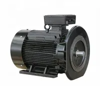 Motor do compressor de ar da pasta digital 380-3-50 1.1kw ip55 22222160 para venda