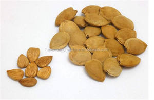 300 kg/h hazel nueces de bombardeo de roto el <span class=keywords><strong>precio</strong></span> de la máquina - Product Image 3