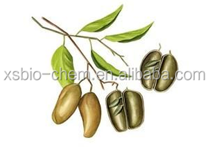 Extracto de Semilla de <span class=keywords><strong>Griffonia</strong></span> <span class=keywords><strong>Simplicifolia</strong></span> de Grado Alimenticio de Alta Calidad con Certificación GMP, Polvo de Hidroxitriptófano 5-HTP, Certificado Halal, HPLC - Product Image 3