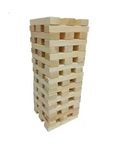 木制翻滚塔块花园游戏教育巨头60 PCS XL彩盒木质教育玩具块套装300套TJ标记