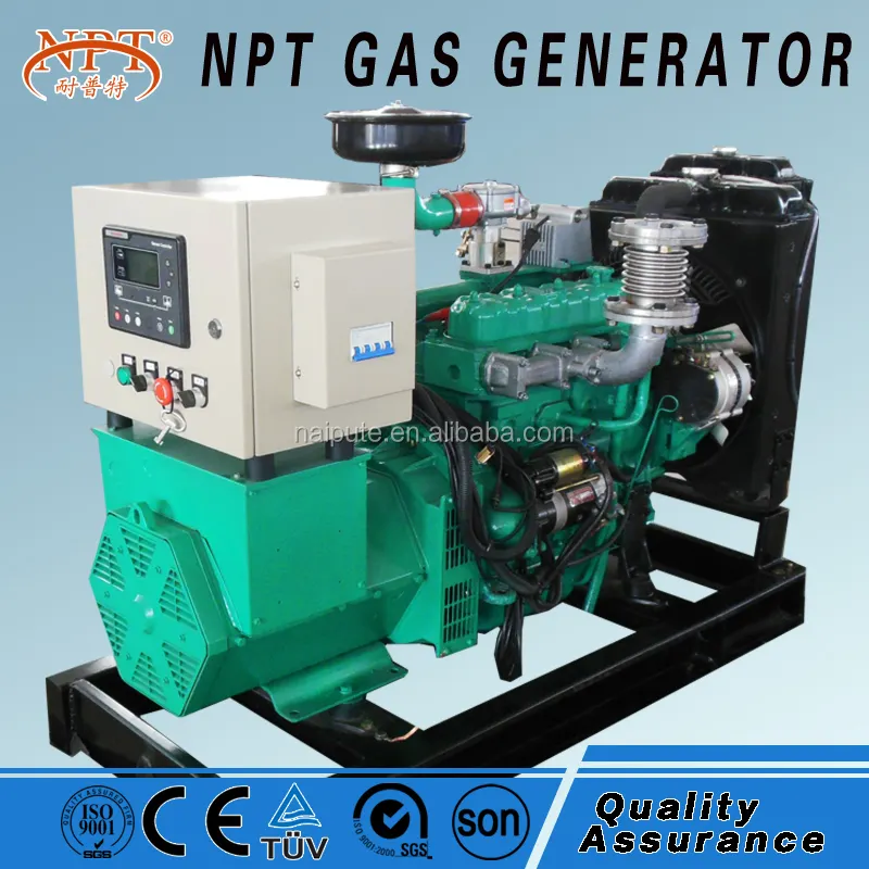 Generador de 10 kW CE LPG de la fábrica Weifang