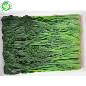 Wholesale Iqf Chopped Frozen Spinach
