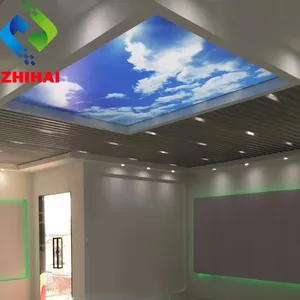 ZHIHAI-nuevos paneles de solución de techo, diseños naturales estampados uv para película de techo elástica de pvc, venta al por mayor