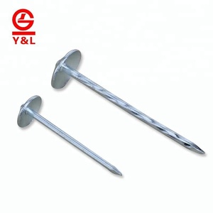 Llano/trenzado galvanizado o Un-galvanizado para techos paraguas de la cabeza <span class=keywords><strong>del</strong></span> clavo - Product Image 6