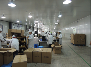 Produzione di caffè nero istantaneo L-carnitina unisex tutti i tipi di fabbrica GMP della serie di caffè - Product Image 4