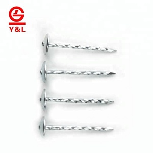 Llano/trenzado galvanizado o Un-galvanizado para techos paraguas de la cabeza <span class=keywords><strong>del</strong></span> clavo - Product Image 4