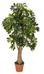 Árboles <span class=keywords><strong>bonsai</strong></span> <span class=keywords><strong>de</strong></span> interior <span class=keywords><strong>bonsai</strong></span> árbol <span class=keywords><strong>Schefflera</strong></span> artificial chino - Product Image 2