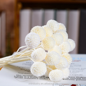 Kunming ลูกบอลทองคำสีทองประดับด้วยกระดุมสองเม็ด - Product Image 3