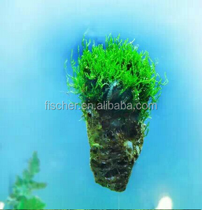 Acuario Planta Paisaje Tanque Decoración Flotante Natación <span class=keywords><strong>Roca</strong></span> - Product Image 3