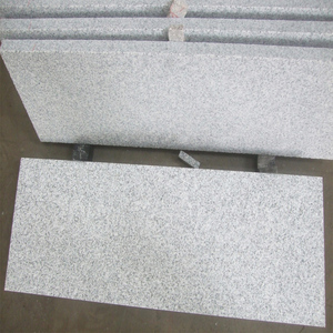 Günstige Chinesische Granit-Bodenfliesen 60x60 Hellgrauer Granit G603 - Product Image 2