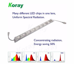 Granja vertical focu lente <span class=keywords><strong>full</strong></span> <span class=keywords><strong>spectrum</strong></span> <span class=keywords><strong>led</strong></span> grow light bar para de interior crece la lámpara - Product Image 2