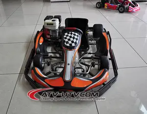 200cc Lifan Engine Adult Racing Go Kart for Sale with Chain Drive