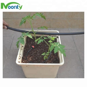 Secchio olandese idroponico del pomodoro secchio Bato per la scatola di coltivazione del giardino della <span class=keywords><strong>serra</strong></span> - Product Image 5
