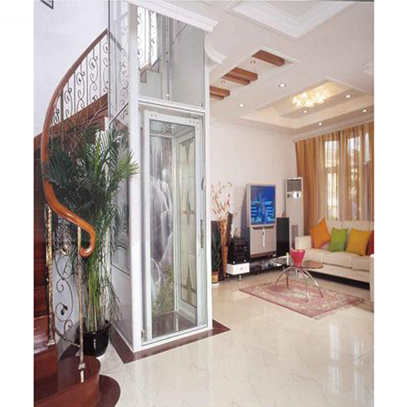 Price In China Villa Used Elevadores Factory Directly Villa Used Small Home Elevator