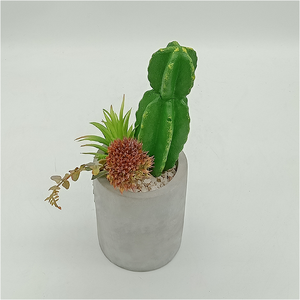 Fleur de cactus artificielle en ciment faite à la main, design réaliste, pour la décoration intérieure de la maison et des hôtels - Product Image 3