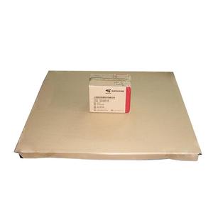 Piattaforma piano 1 Ton bilancia prezzo - Product Image 6