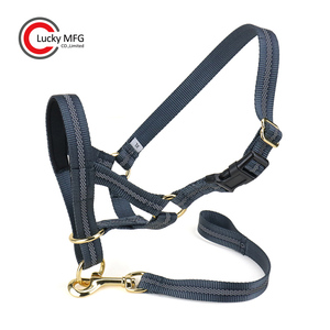 Hundehalfter mit Sicherheitsgurt, gepolstertes Kopfgeschirr für kleine, mittelgroße und große Hunde - Product Image 4