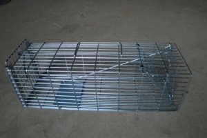 En çok satan canlı sıçan sincap tuzak kafesi s serbest kapı ile galvanizli canlı vahşi hayvanlar tuzak kafesi - Product Image 5