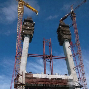 Acs הידראולי טיפוס עצמי עגור עם מערכת פורמאטי קיר עצמאי, h20 דגם H20 עשוי פלדה - Product Image 6