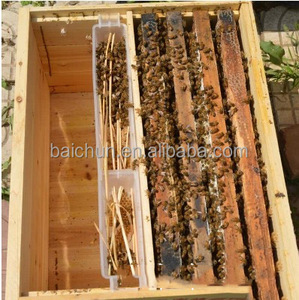 Khung Hive nhựa Bee <span class=keywords><strong>feeders</strong></span> trong số lượng lớn cho nghề nuôi ong thiết bị sản xuất khung Bee Feeder 1.5kg Công suất - Product Image 6