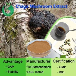 OEM الصين مسحوق مستخلص من النبات استخراج Chaga - Product Image 4