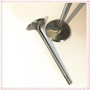 <span class=keywords><strong>Pezzi</strong></span> <span class=keywords><strong>di</strong></span> <span class=keywords><strong>ricambio</strong></span> auto valvola <span class=keywords><strong>di</strong></span> motore Per Renault Megane 2 F4R F7R 2.0L Laguna Espace 3 <span class=keywords><strong>4</strong></span> Trafic Praga R1 <span class=keywords><strong>Clio</strong></span> sport bronzo guide - Product Image 5