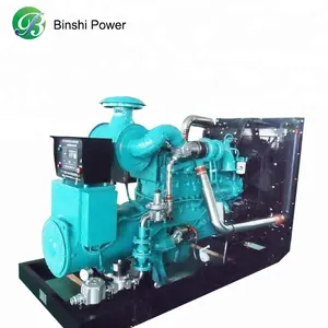 10-350kW Biomass/syngas/wood chips/straw gas generator