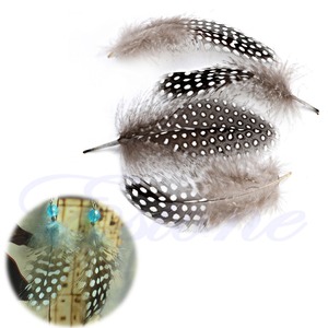 Guined Fowl Pluma Punto Para Hecho A Mano Regalo de La Decoración - Product Image 1