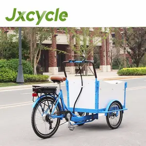 Tricycle électrique pour hommes, deux roues avant, cargo, charge avant