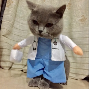 Fuente de la fábrica ropas para mascotas perro y gato cosplay ropa doctor diseño perro gato ropa - Product Image 2