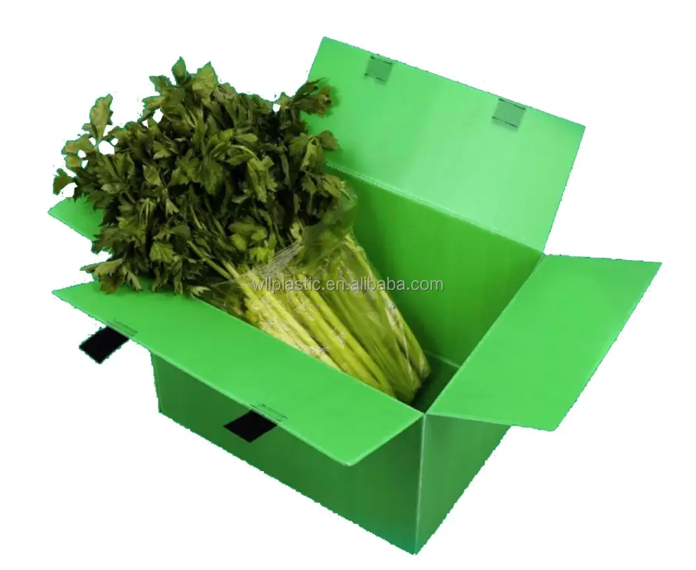 Scatola ondulata per frutta e verdura scatola di plastica di qualità alimentare riciclabile scatole di immagazzinaggio impermeabili e contenitori in plastica contenitore PE Bag