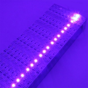SMD 5050นำแถบไฟ12โวลต์60 Leds/m RGB IP20แถบแสง - Product Image 6