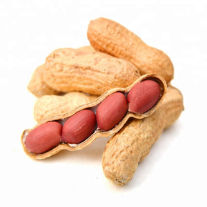China <strong>Peanut</strong> <strong>Suppliers</strong> <strong>Good</strong> <strong>Quality</strong> <strong>Peanut</strong> <strong>in</strong> <strong>Shell</strong> - Product Image 1