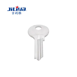 Factory Price High Quality Customized Key Blanks Painted Key