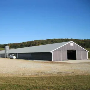 현대 조립식 건축재료 금속 스틸 구조 가금류 농장 집