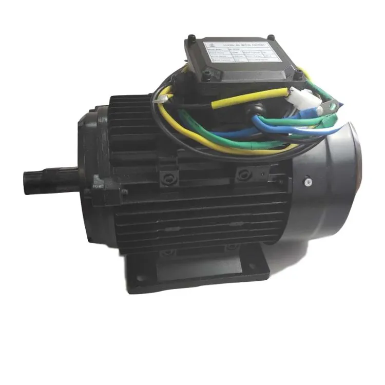 DC Brushless Motor 48 V 72V 220V 310V 2kw BG Modern 48 volt Brushless 5 Kw Dc motore elettrico ventilatore a magnete permanente IE 2