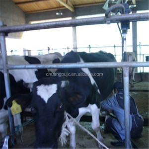Sistema Automático <span class=keywords><strong>de</strong></span> Ordeño por Tubería para Granjas - Product Image 4