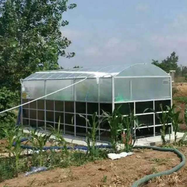 Teenwin comercial biogas medidor de plantas para fazenda e tratamento de boca de vaca