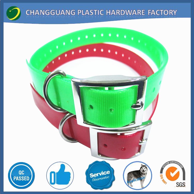 Популярность домашние животные воротник