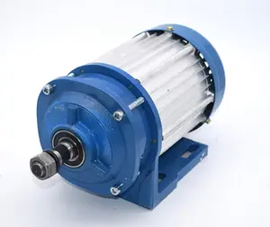 China hersteller offene elektrische dreirad motor/bürstenlosen dc motor