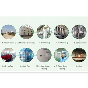 Чистый <span class=keywords><strong>Usnic</strong></span> кислота 98% Usnea экстракт - Product Image 6