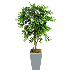 Ficus Artificial/Color Varigated <span class=keywords><strong>Bonsai</strong></span> <span class=keywords><strong>de</strong></span> <span class=keywords><strong>Pino</strong></span> - Product Image 1