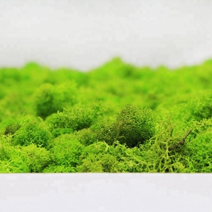 Nuovo Prodotto Ecologico: Parete di Muschio Artificiale Personalizzata per Decorazione Interna ed Esterna - Product Image 2
