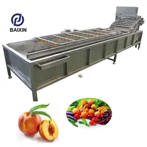 Industrial fruit and vegetable washer machine chilli cleaning machine