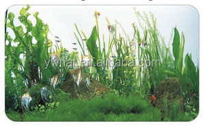 カスタムプラスチック水族館背景水族館絵画写真 - Product Image 2