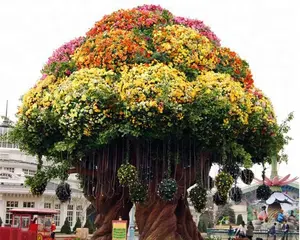 Sol vertical jardim pendurado, bola de plástico potes de paisagem, lâmpada pós de rega automática, planejadores de bola grande