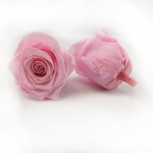 Wholesaler Eternal <strong>Rose</strong> Valentines Gifts Forever <strong>Rose</strong> Preserved Flower Acrylic <strong>Infinity</strong> <strong>Rose</strong> Box - Product Image 6