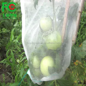 Sacchetto di rete di plastica di controllo degli insetti di prezzi economici/sacchetti di plastica del giardino della frutta delle verdure di controllo degli insetti